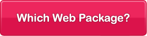 Choose a Web Design Package